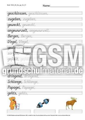 DSS_2S_Bu_ge_Nr_01.pdf